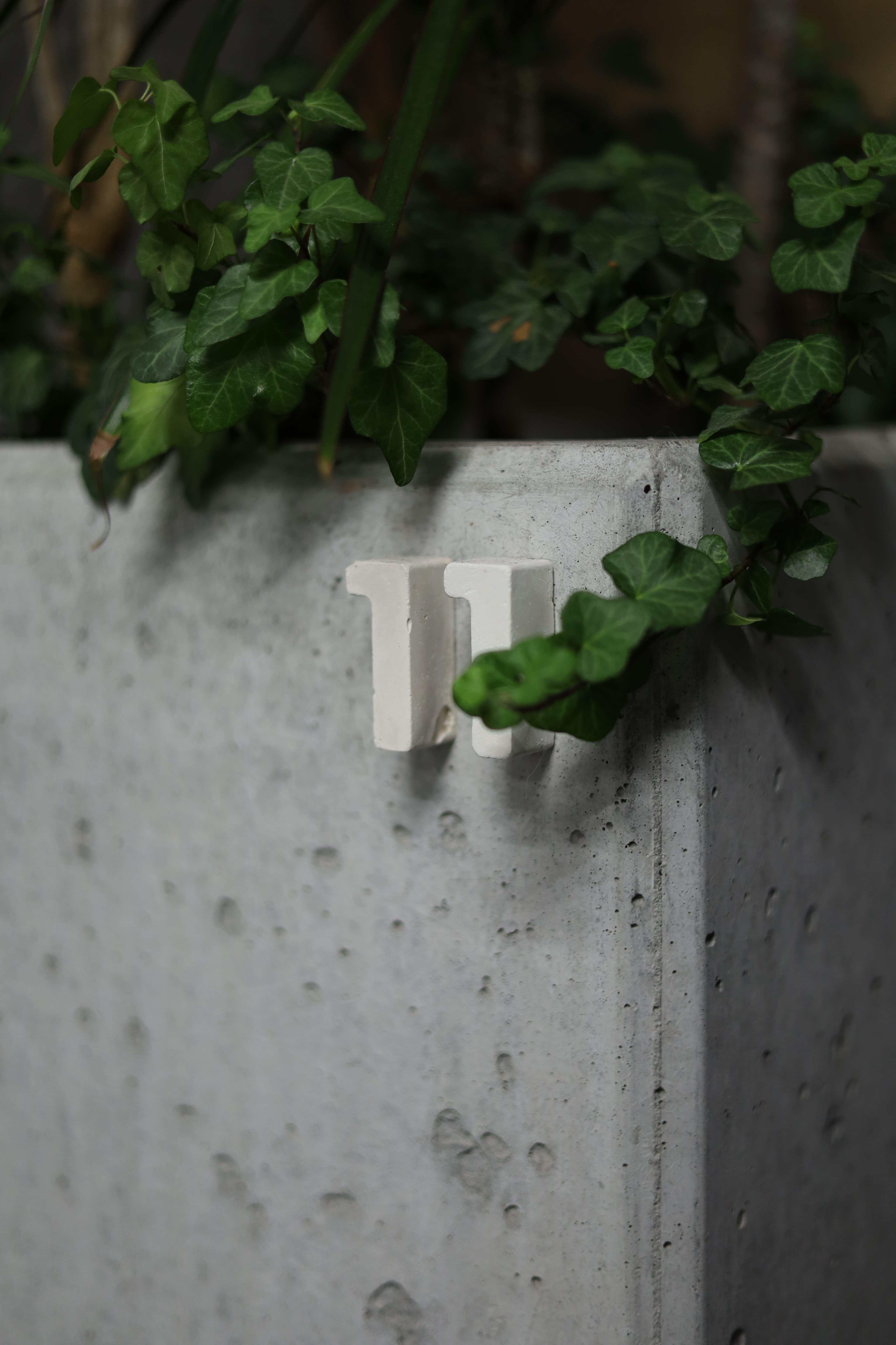 Eleven Dogs | Кременчук Барбершоп